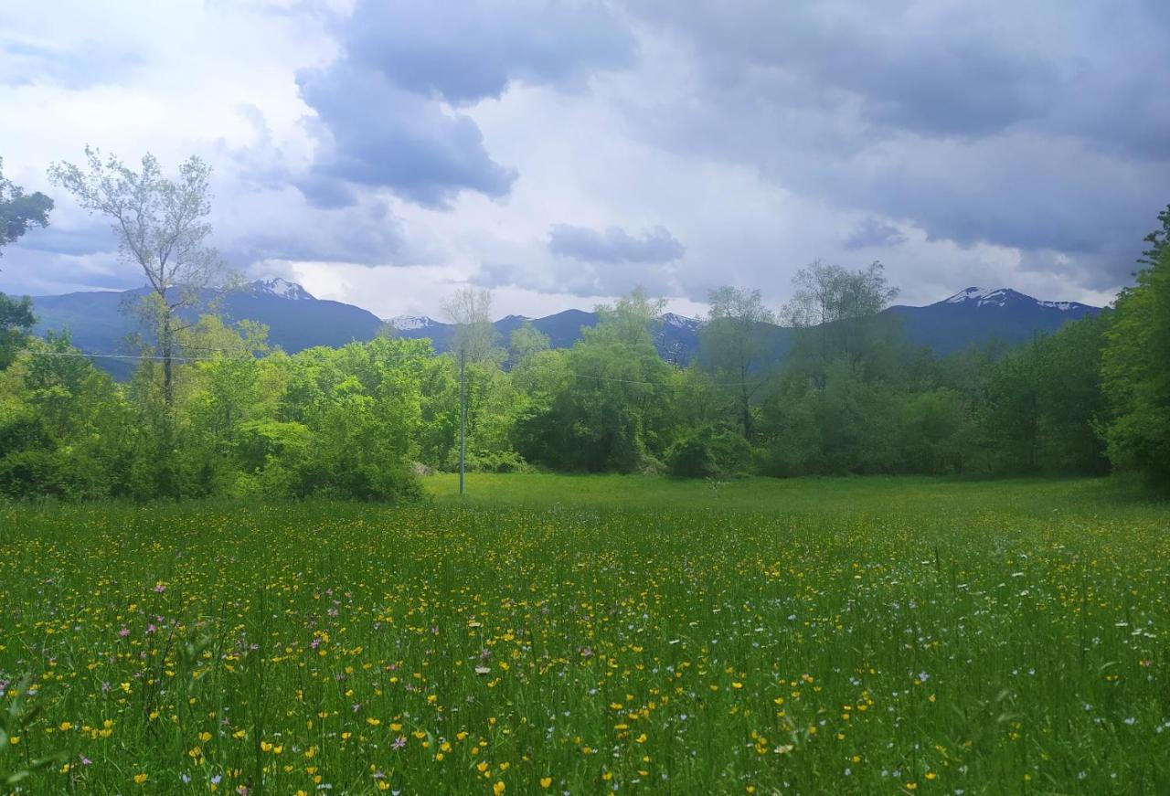Agriturismo Rio Ricco Busana Екстер'єр фото