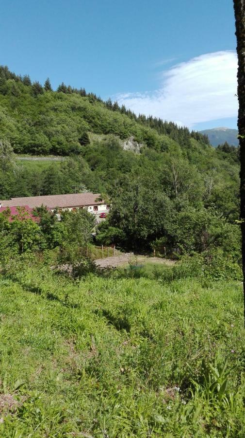 Agriturismo Rio Ricco Busana Екстер'єр фото