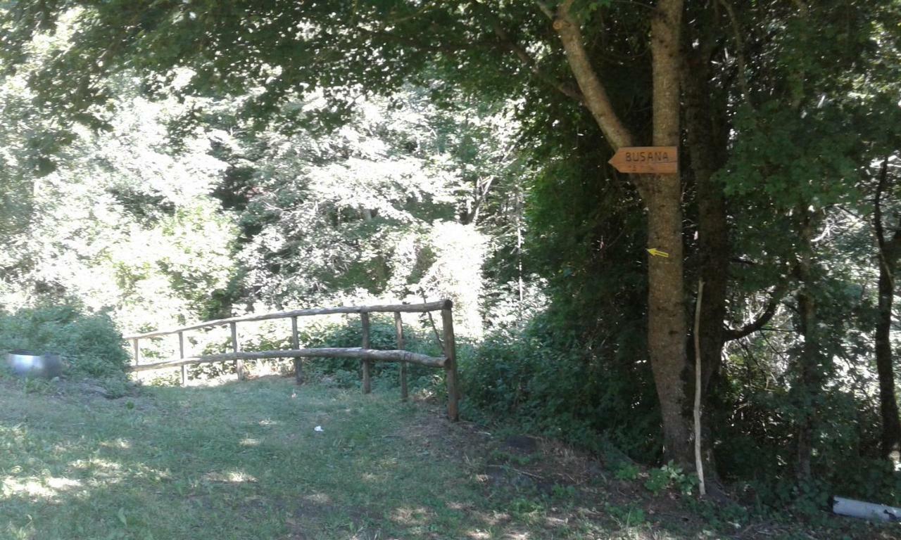 Agriturismo Rio Ricco Busana Екстер'єр фото