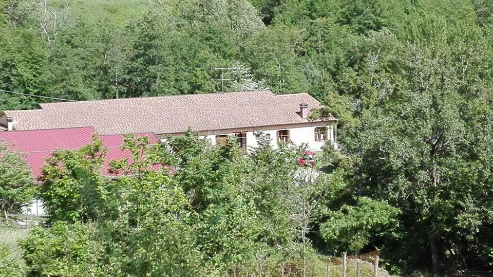 Agriturismo Rio Ricco Busana Екстер'єр фото