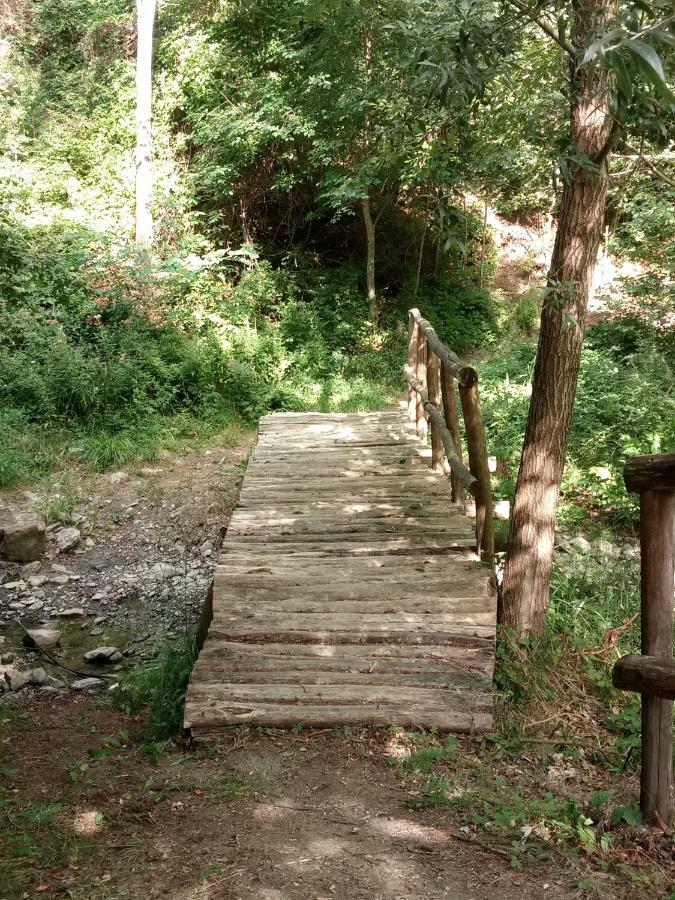 Agriturismo Rio Ricco Busana Екстер'єр фото